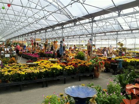 Cornelius nursery houston - See our wide selection of plants and flowers, including trees, roses, ferns, annuals, perennials, and much more. Visit Calloway's.com!